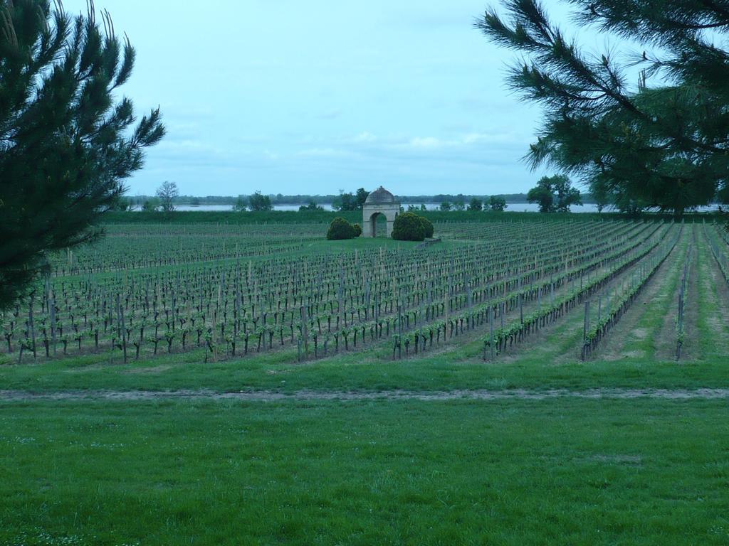 Gites Gayet Saint-Androny Buitenkant foto